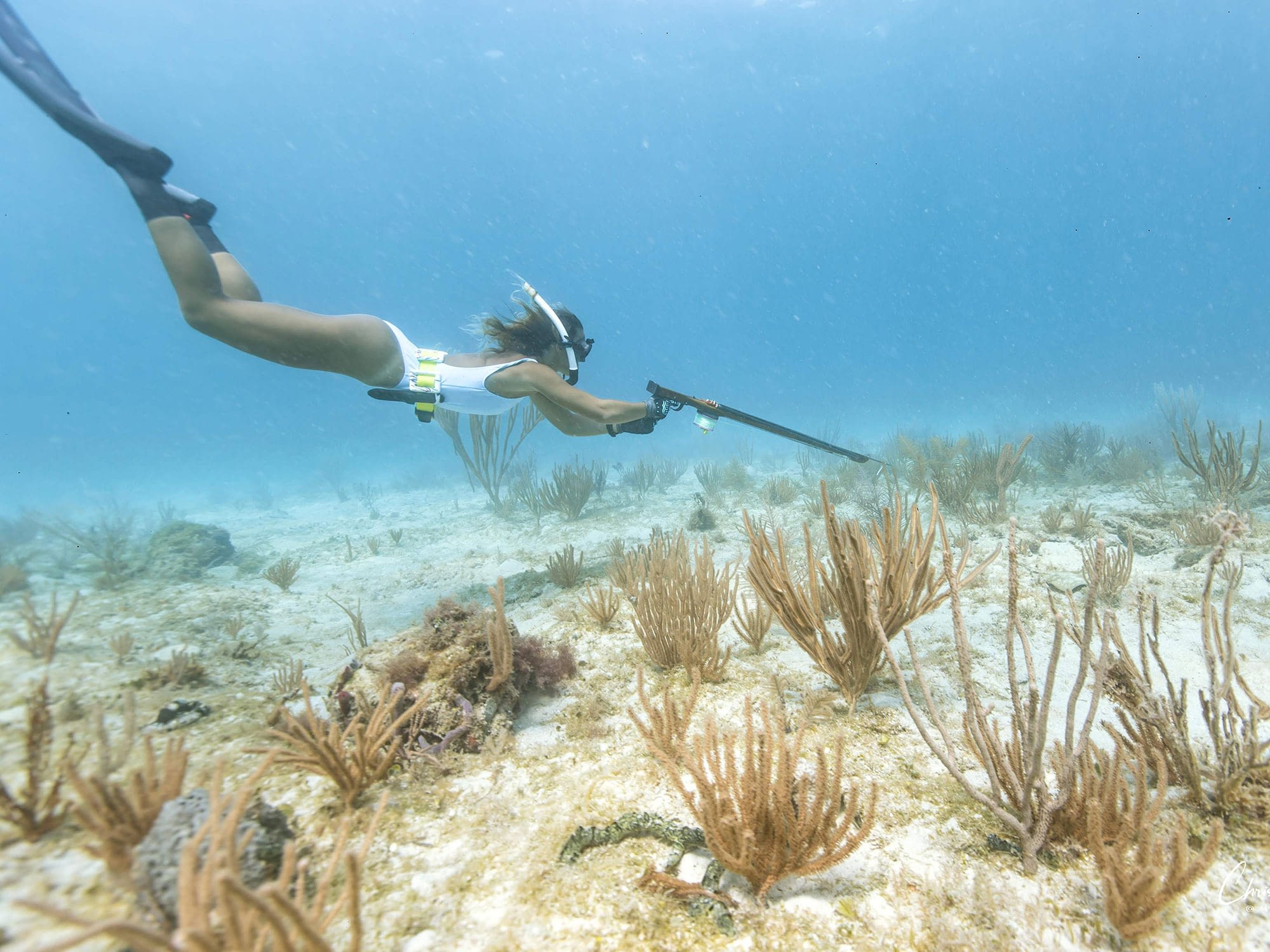 Cheyenne Lee spearfishing