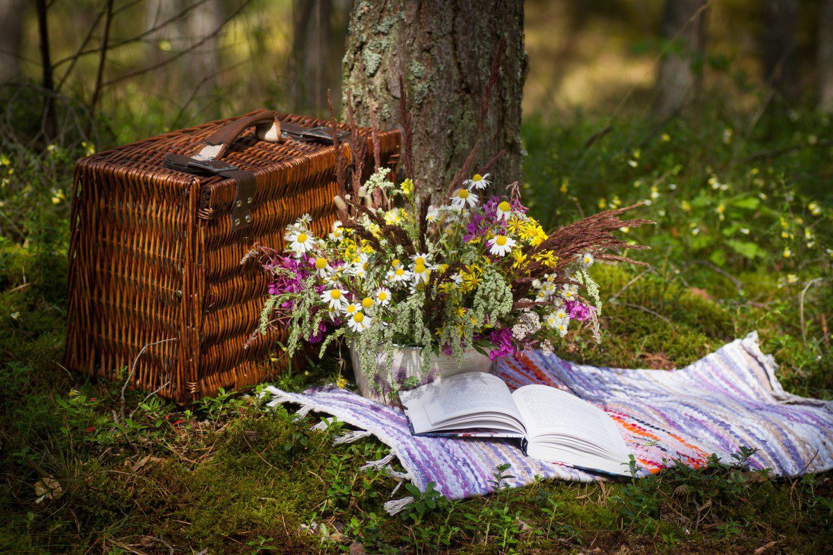 Plan A Springtime Picnic On Your Carefree Boat In San Diego, CA.