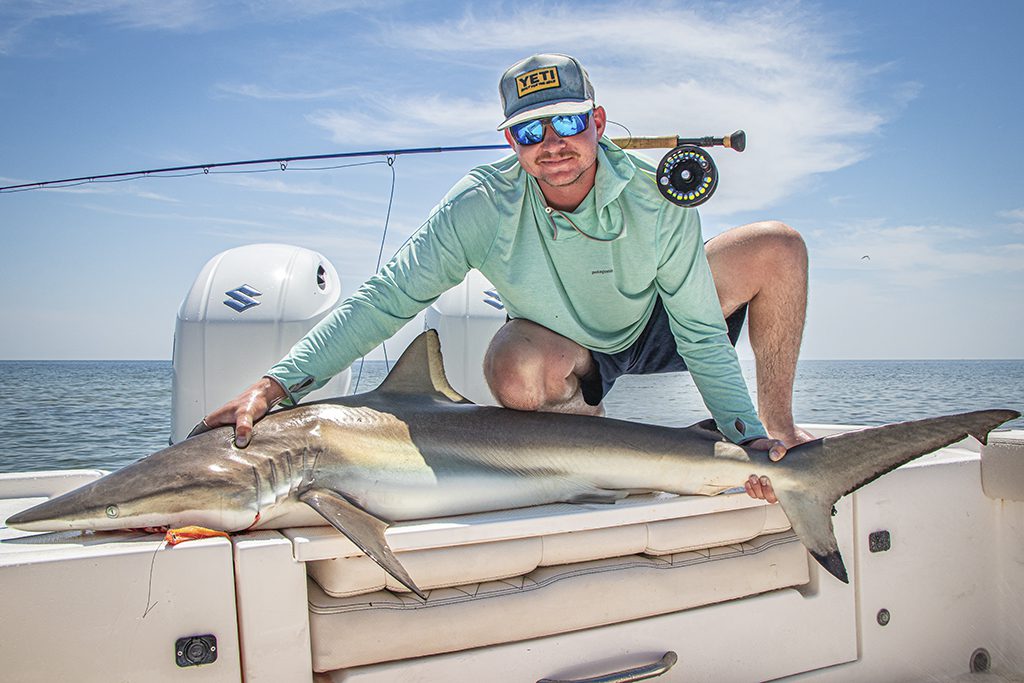 Sight Fishing for Shark - Southern Boating