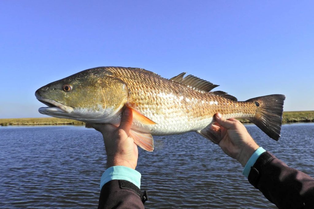 When and Where to Fish