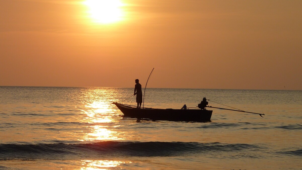 The Ultimate Fishing Guide to Coronado