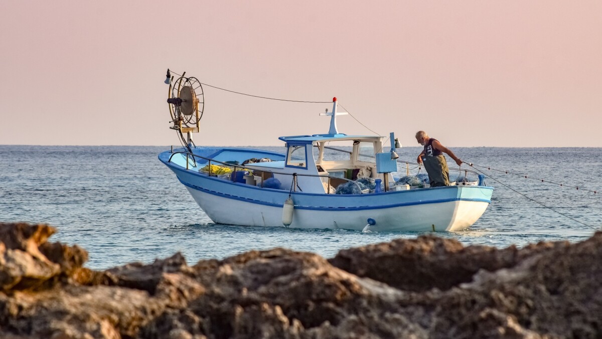 Best Fishing Spots in San Diego
