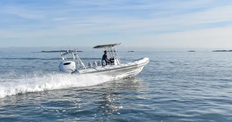 FLIBS Preview - RIBCRAFT 7.8