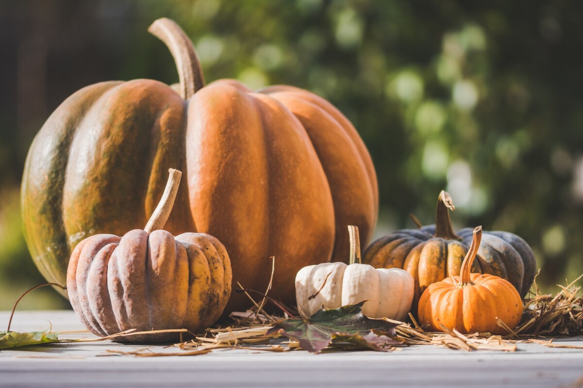 Why Halloween Is Best Spent on a Boat